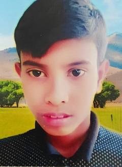 image-here